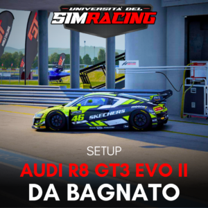 Pack Setup Audi R8 LMS GT3 EVO II - Bagnato/WET