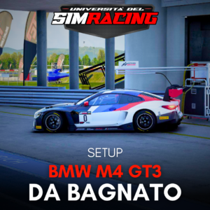 Pack Setup BMW M4 GT3- Bagnato/Wet
