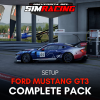 Setups per tutte le piste - Ford Mustang GT3