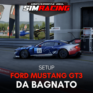 Pack Setup Ford Mustang GT3 - Bagnato/WET